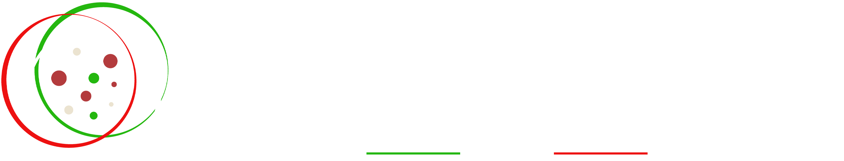 pizzeria positano